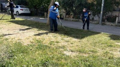 Didim Belediyesi Park ve Bahçeler Müdürlüğü ekipleri, ilçe genelinde yeşil