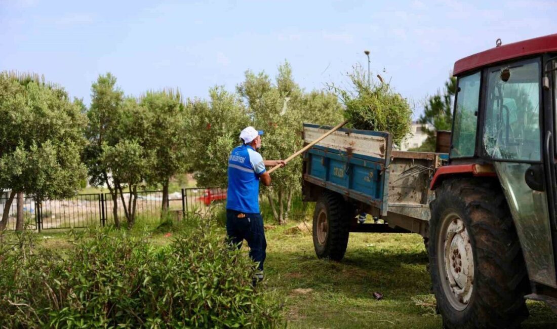 Didim Belediyesi ekipleri tarafından ilçe genelindeki okullarda ot biçme ve