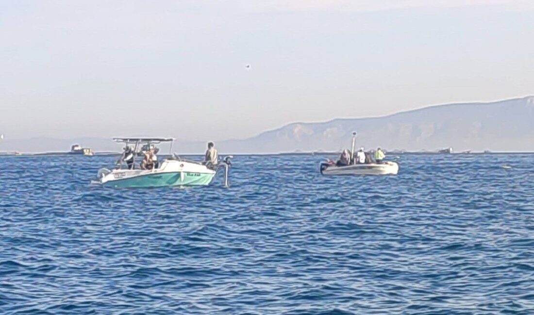 Aydın’ın Didim ilçesinde gerçekleştirilen kontrollerde balıkçı tekneleri denetlendi balıkçılar ise