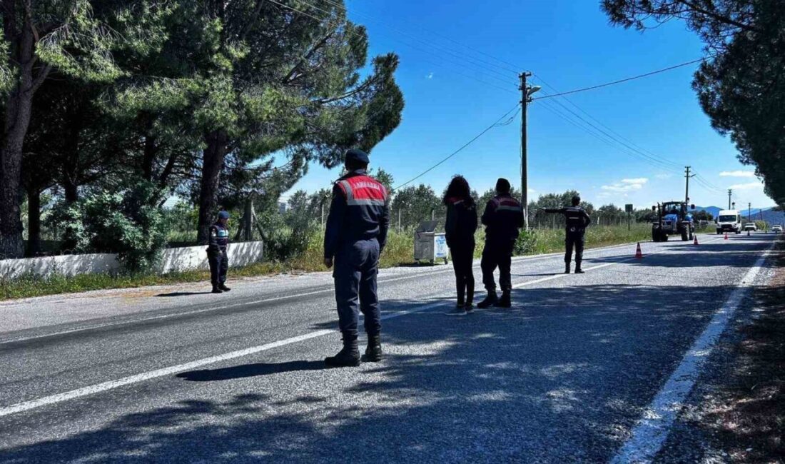 Aydın’ın Didim ilçesinde Kurban Bayramı öncesi yol kontrol denetimleri gerçekleştiriliyor.