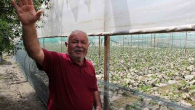 Amasya’da Yeşilırmak’ta yaşanan taşkın nedeniyle sular altında kalan arazilerindeki fideler