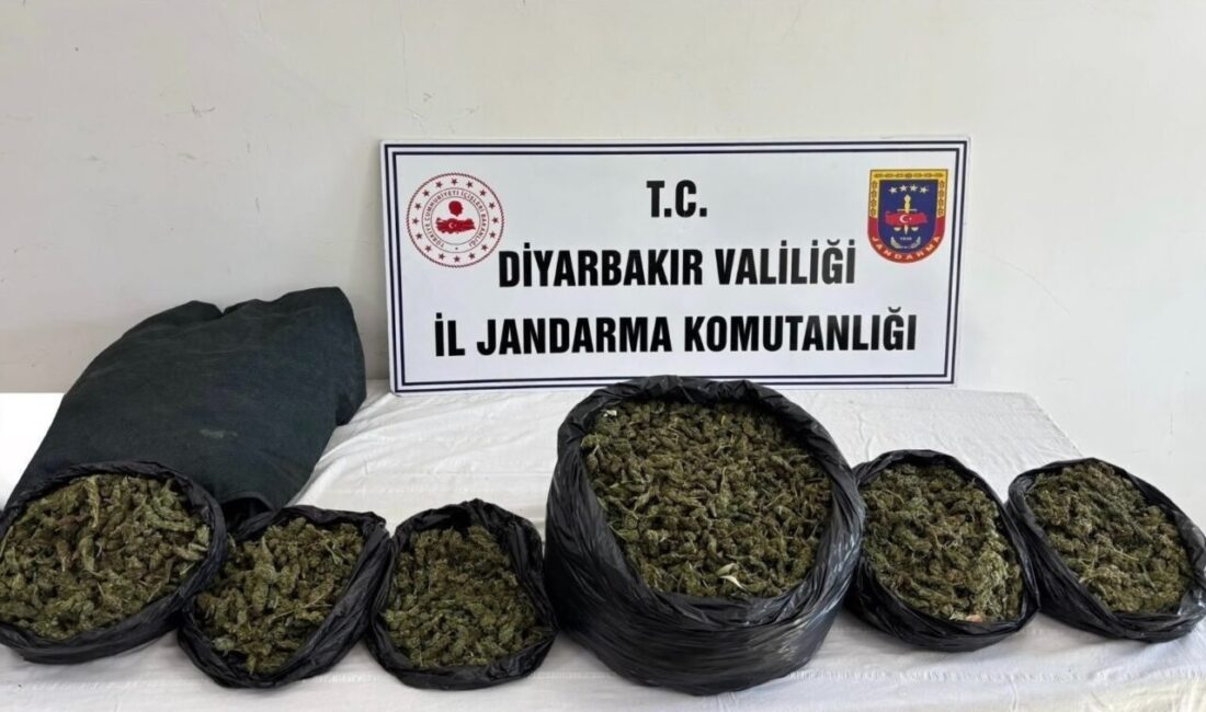 Diyarbakır’da jandarma ekiplerince düzenlenen operasyonlarda 20 kilo skunk maddesi ile
