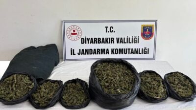 Diyarbakır’da jandarma ekiplerince düzenlenen operasyonlarda 20 kilo skunk maddesi ile