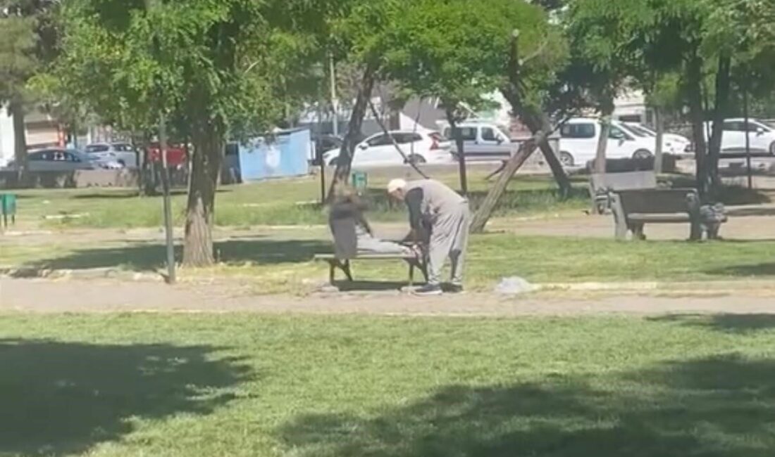 Diyarbakır’da parka giden yaşlı adamlar, bankta mekik çektiği anlar cep