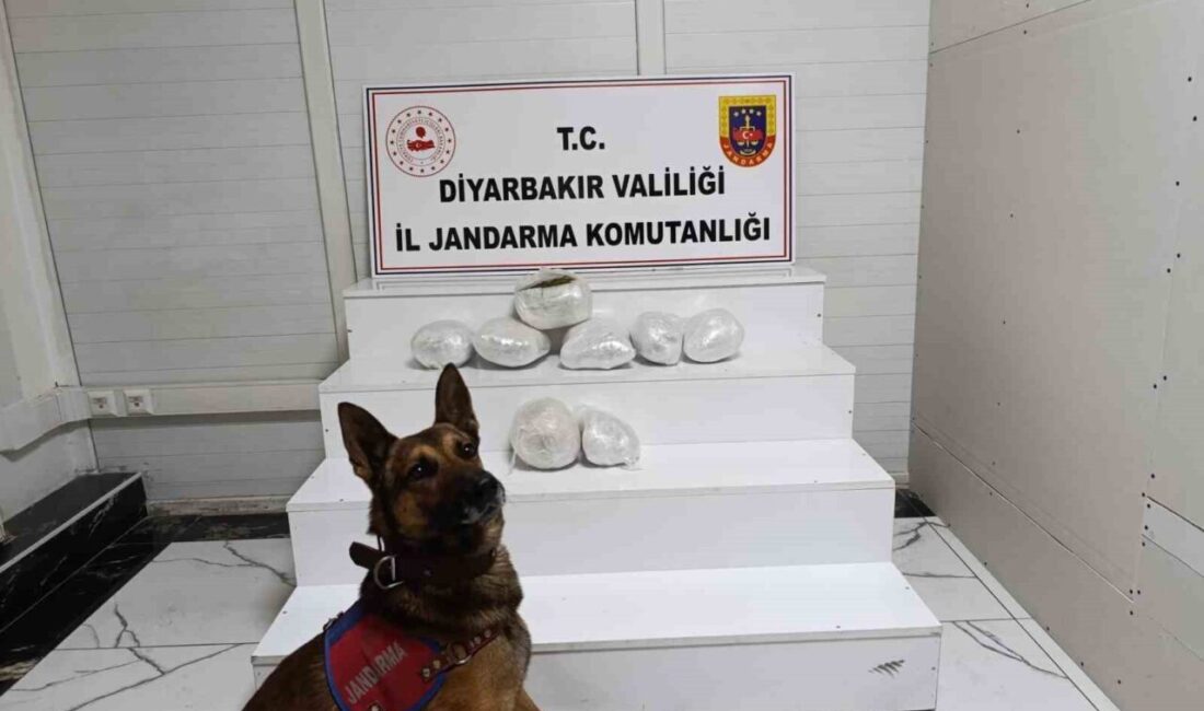 Diyarbakır’da jandarma ekiplerince düzenlenen operasyonlarda çok sayıda uyuşturucu madde ele