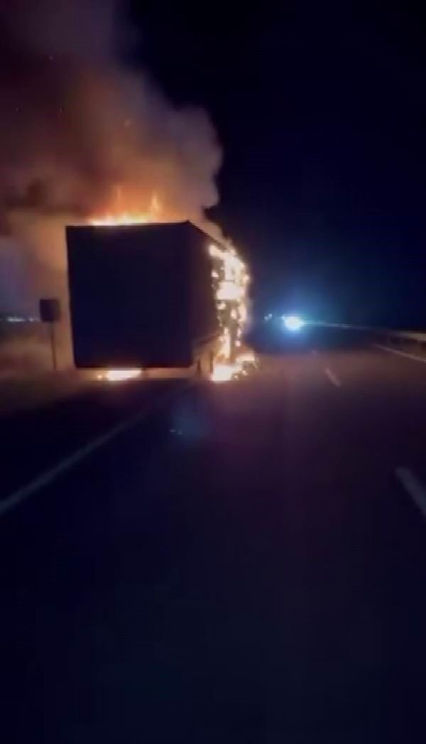Diyarbakır’da seyir halinde alevlere teslim olan tır kullanılamaz hale geldi.