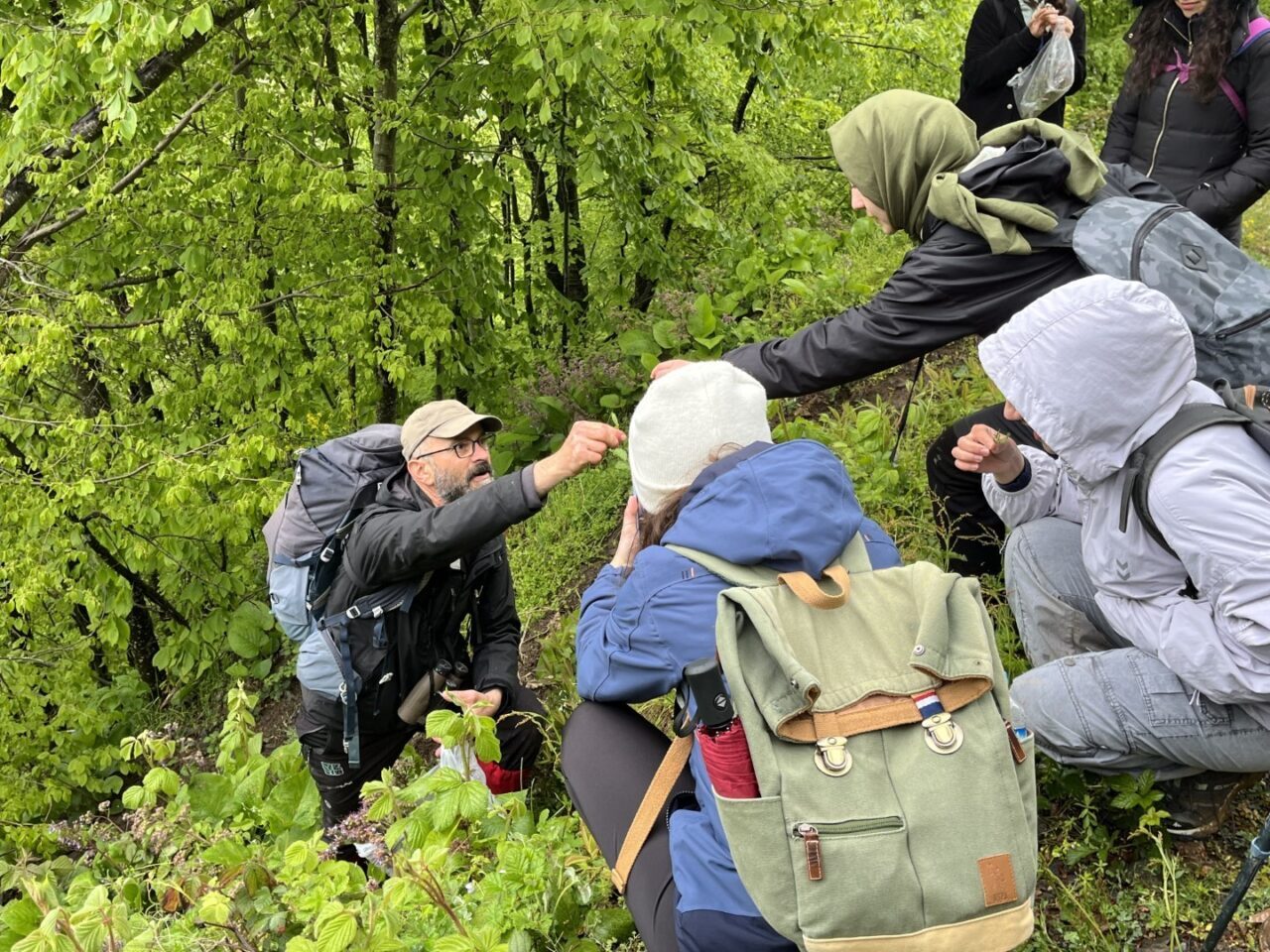 “Doğa Kocaeli” etkinlikleri çerçevesinde düzenlenen doğa yürüyüşü ilgi gördü. Toplam