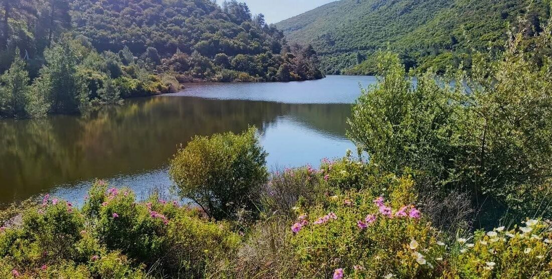 Aydın’ın Kuşadası ilçesinde bulunan ve Akdeniz bitki örtüsünün en güzel
