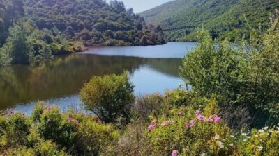 Aydın’ın Kuşadası ilçesinde bulunan ve Akdeniz bitki örtüsünün en güzel