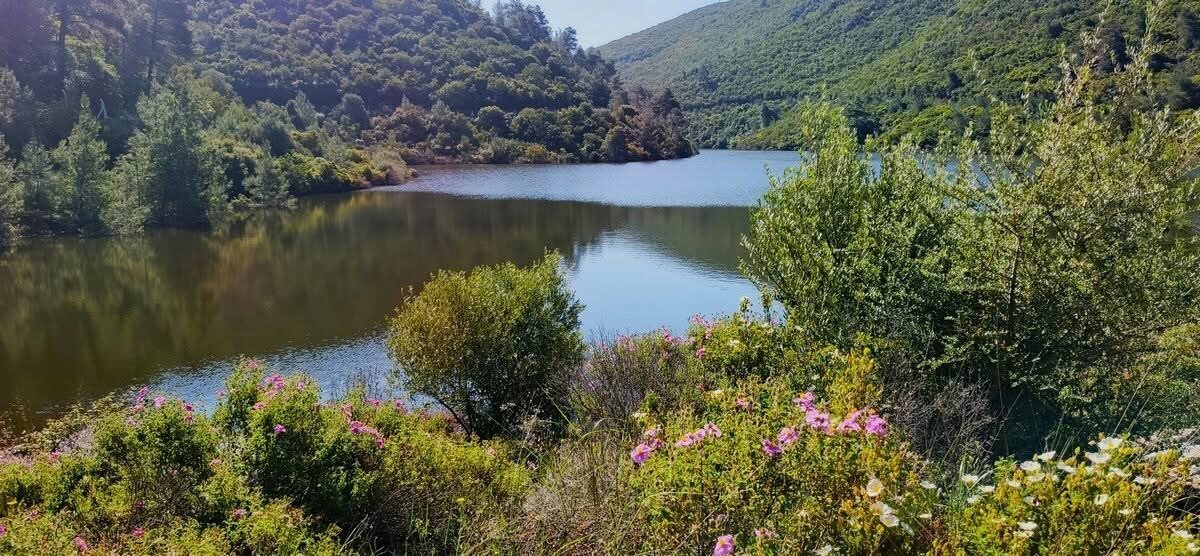 Aydın’ın Kuşadası ilçesinde bulunan ve Akdeniz bitki örtüsünün en güzel