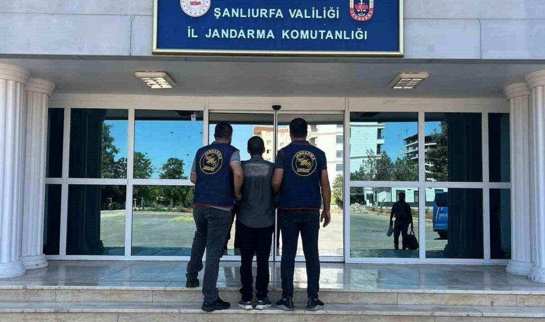 Şanlıurfa’da dolandırıcılık suçundan kesinleşmiş 4 yıl hapis cezası ile aranan