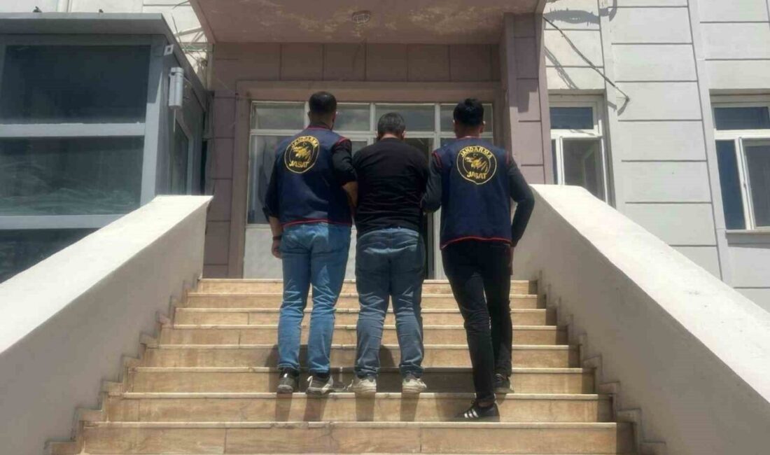 Şanlıurfa’nın Suruç ilçesinde dolandırıcılık suçundan kesinleşmiş 5 yıl hapis cezası