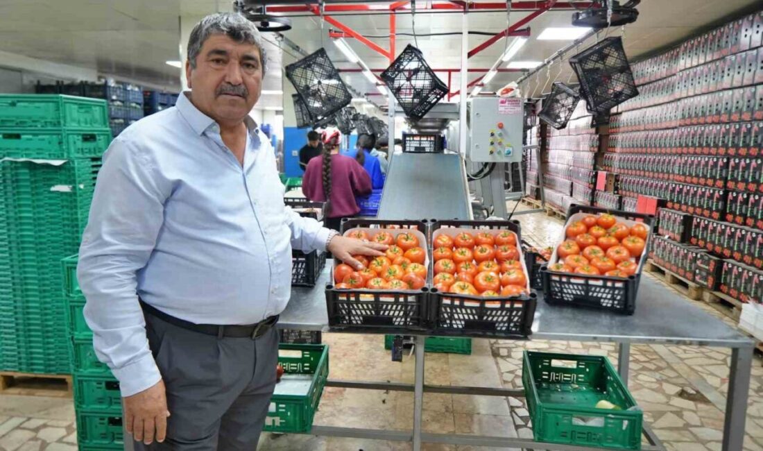 Antalya’da yaş sebze ve meyve piyasasında yılbaşından bu yana özellikle