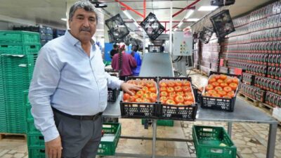 Antalya’da yaş sebze ve meyve piyasasında yılbaşından bu yana özellikle