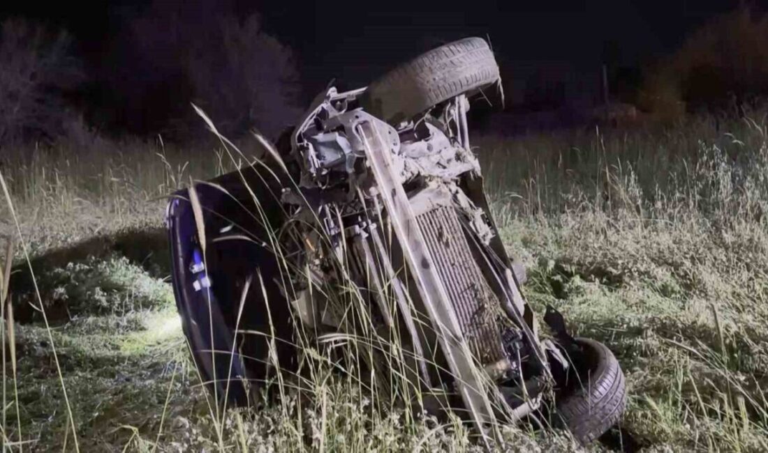 Elazığ’da domuza çarpan otomobil şarampole uçtu. Kazada araçta bulunan 5