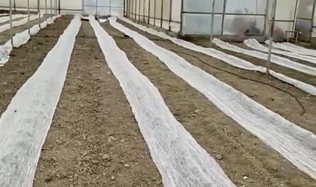 Meteoroloji 4. Bölge Müdürlüğünce Burdur genelinde yapılan don uyarısının ardından
