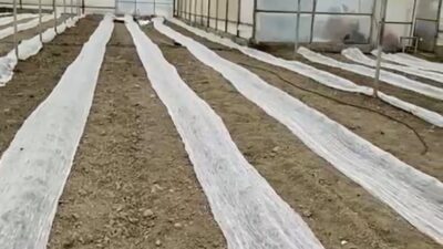 Meteoroloji 4. Bölge Müdürlüğünce Burdur genelinde yapılan don uyarısının ardından