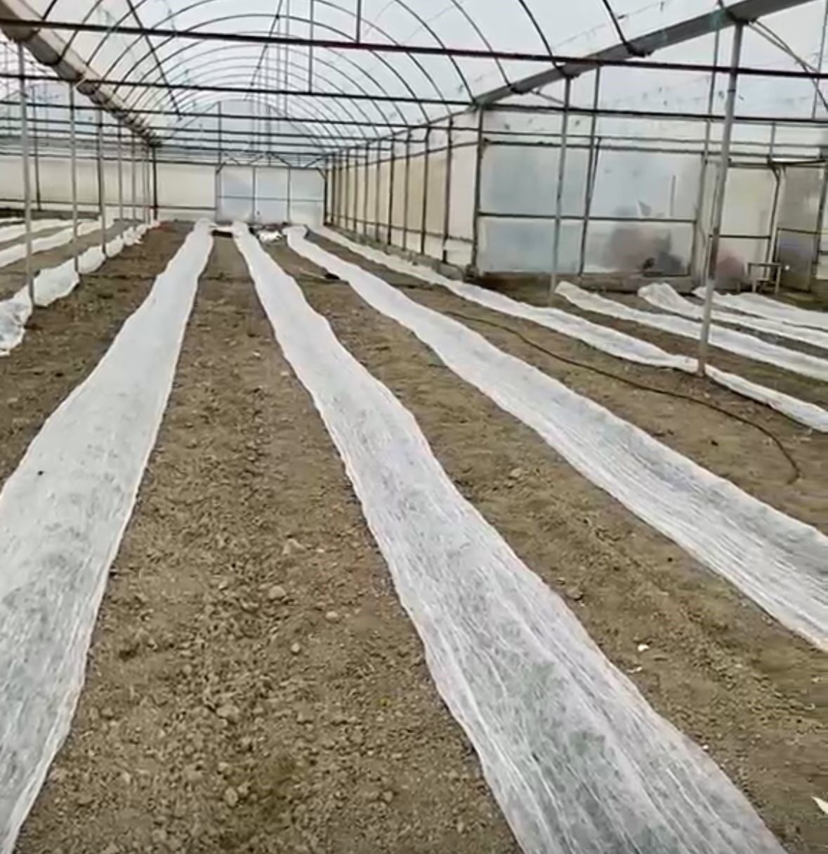 Meteoroloji 4. Bölge Müdürlüğünce Burdur genelinde yapılan don uyarısının ardından