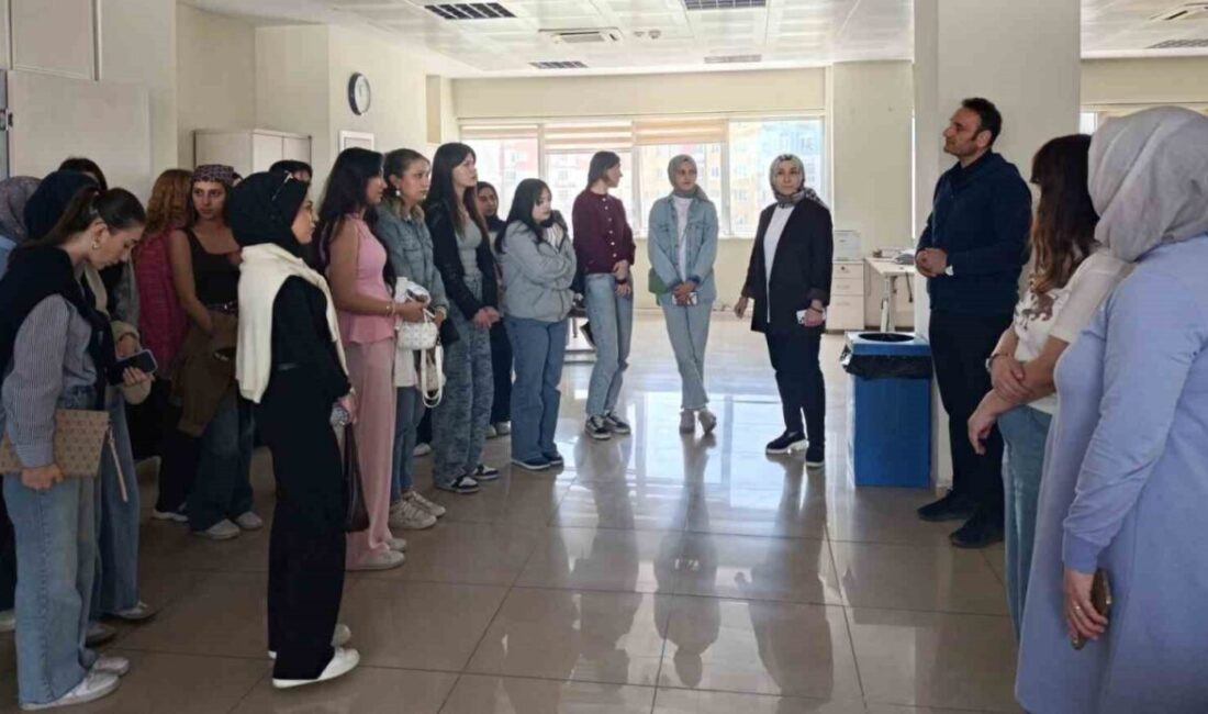 Kütahya Dumlupınar Üniversitesi (DPÜ) Domaniç Hayme Ana Meslek Yüksekokulu Sosyal