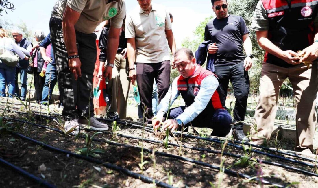 Muğla’da salep üretiminin merkezlerinden biri olan Yatağan’da, Dünya Çiftçiler Günü