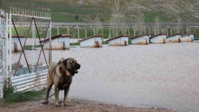 Sivas’ta etkili olan yağışlar hayatı olumsuz etkilerken, Dünyaca ünlü ’Anadolu