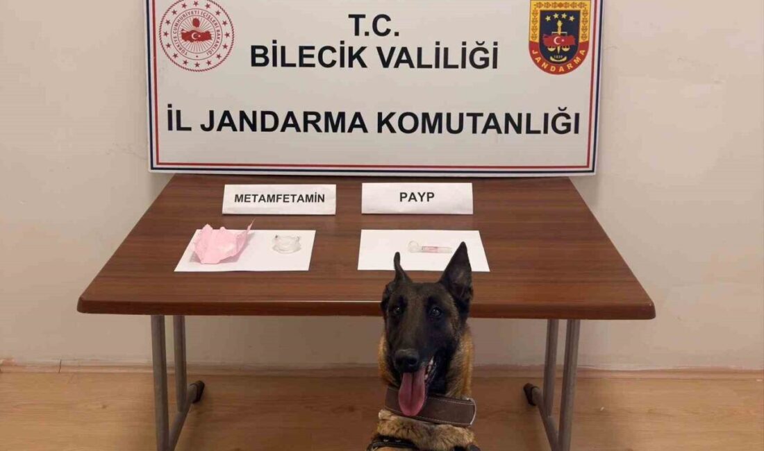 Bilecik’te jandarma tarafında durdurulan şüpheli araçta uyuşturucu madde çıktı. Bilecik’in