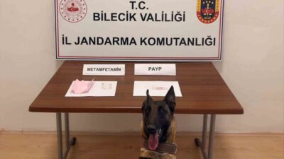 Bilecik’te jandarma tarafında durdurulan şüpheli araçta uyuşturucu madde çıktı. Bilecik’in