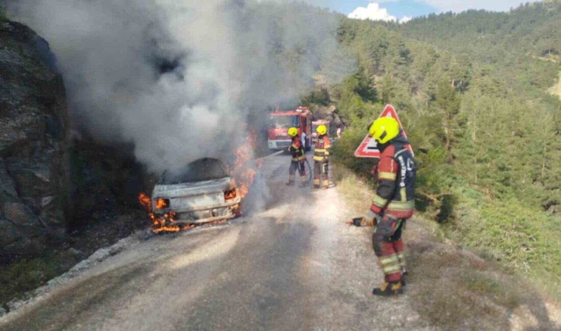 Balıkesir’in Dursunbey ilçesinde bir araçta çıkan ve ormanlık alana sıçrayan
