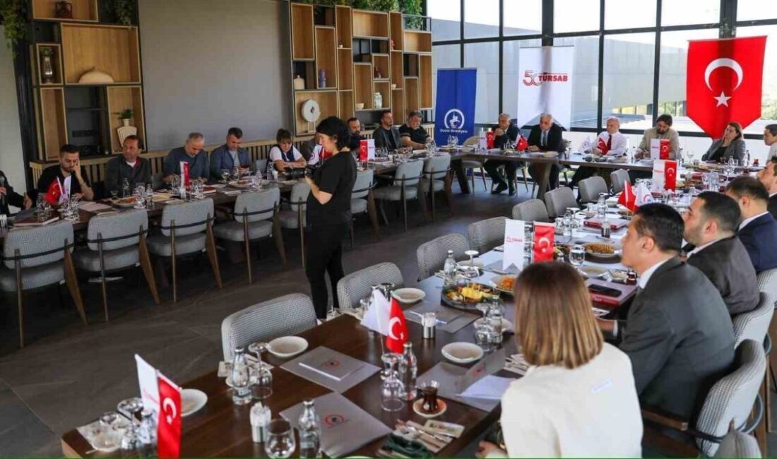 Düzce Belediye Başkanı Dr. Faruk Özlü, şehirde başlattığı turizm yatırım