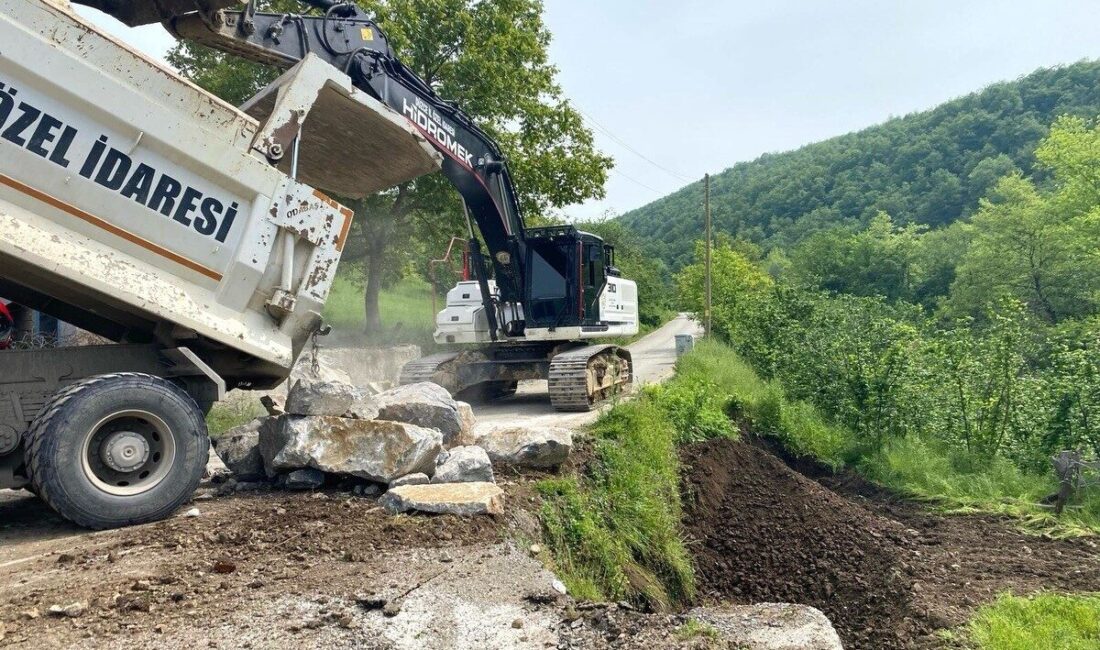 Düzce İl Özel İdaresi, Çamlısu Köyü’ndeki heyelan bölgesinde taş tahkimatı