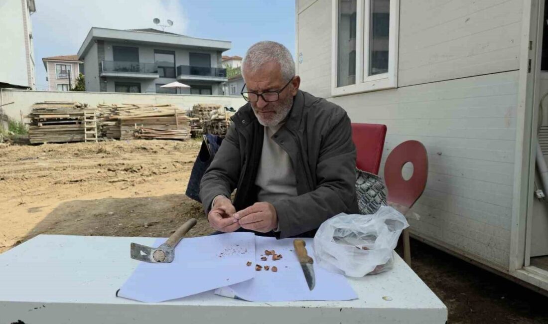 DÜZCE (İHA) – Türkiye’nin önemli fındık üretim merkezlerinden Düzce’de inşaat