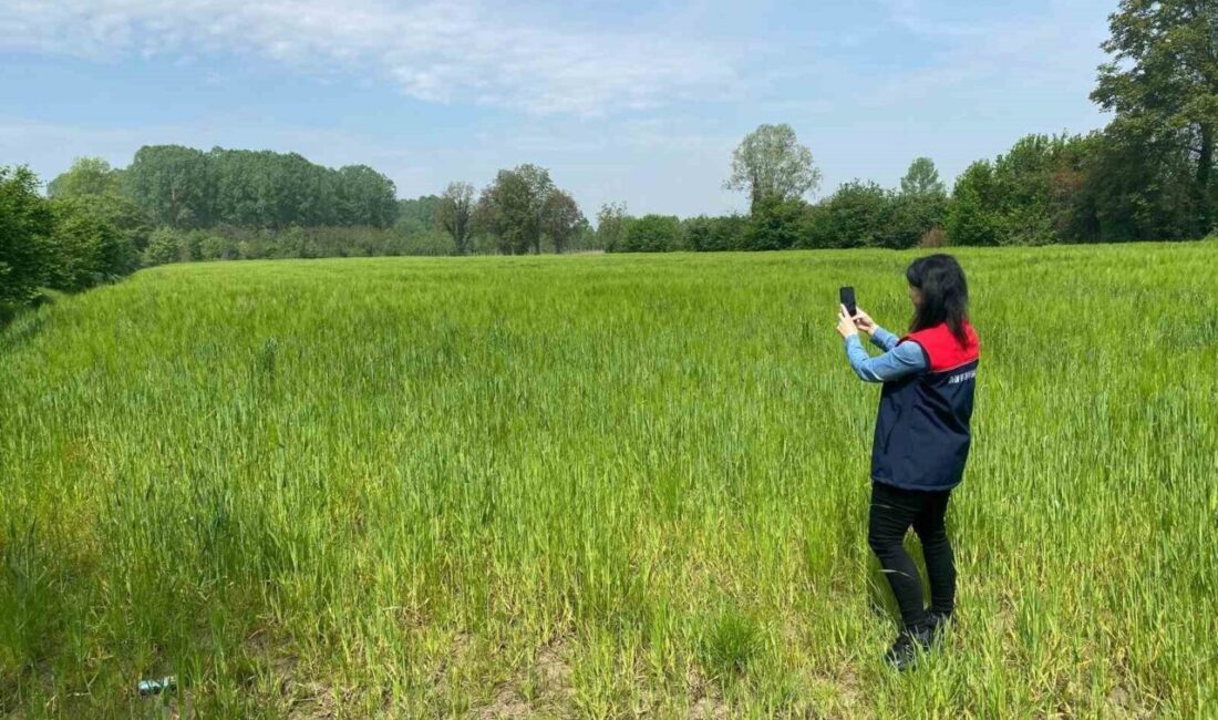 DÜZCE(İHA) – Düzce’de üreticilerin Çiftçi Kayıt Sistemi ve destekleme başvurularında