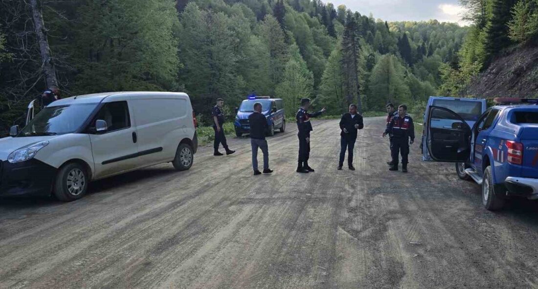 Düzce’de Samandere köyü ile Sinekli Yaylası arasında bulunan yolda erkek