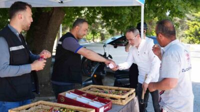 DÜZCE (İHA) – Düzce Belediyesi, Kurban Bayramı dolayısıyla mezarlık ziyareti