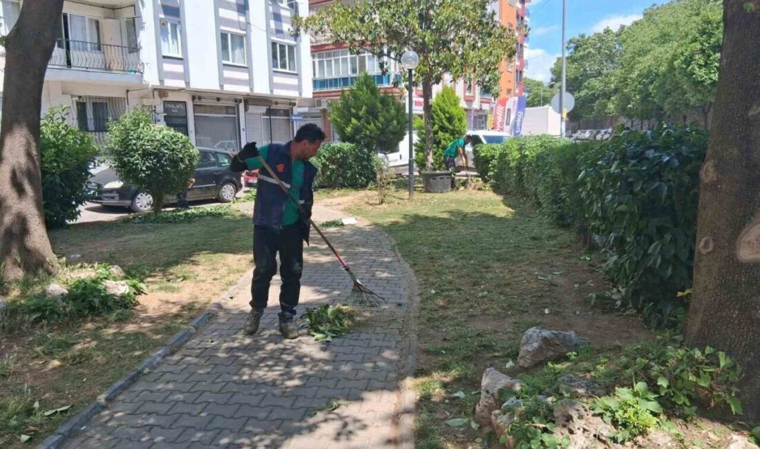 Aydın’ın Efeler ilçesinde belediye ekipleri, park ve yeşil alanlarda bakım