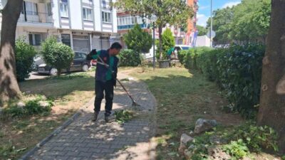 Aydın’ın Efeler ilçesinde belediye ekipleri, park ve yeşil alanlarda bakım
