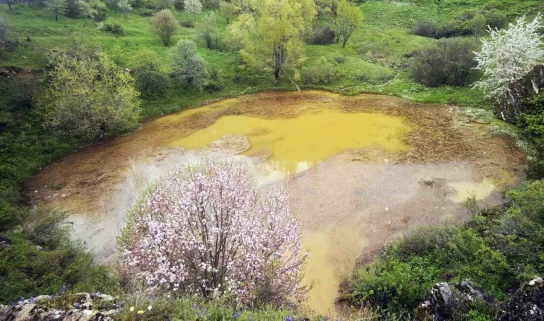 Doğa Koruma ve Milli Parklar Genel Müdürlüğü tarafından tabiat parkı