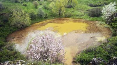 Doğa Koruma ve Milli Parklar Genel Müdürlüğü tarafından tabiat parkı