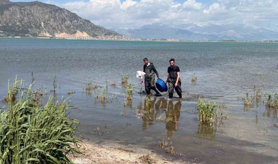 Isparta’nın Eğirdir ilçesinde su ürünleri ekipleri tarafından yapılan denetimlerde, Köprübaşı
