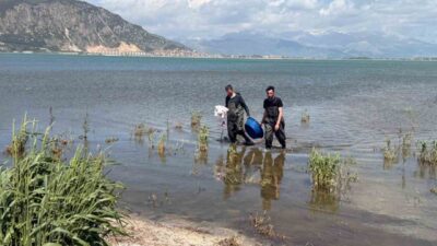Isparta’nın Eğirdir ilçesinde su ürünleri ekipleri tarafından yapılan denetimlerde, Köprübaşı