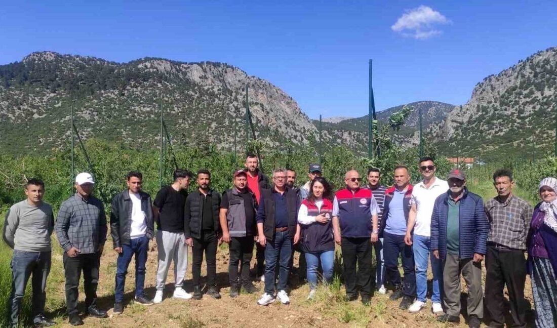 Isparta’nın Eğirdir ilçesinde meyve yetiştiriciliğine yönelik düzenlenen budama ve aşılama