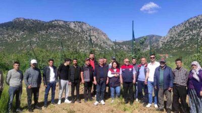 Isparta’nın Eğirdir ilçesinde meyve yetiştiriciliğine yönelik düzenlenen budama ve aşılama