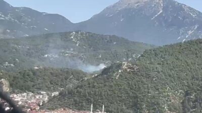 Muğla’nın Fethiye ilçesinde ormanlık alanda çıkan yangın ekiplerin hızlı müdahalesi