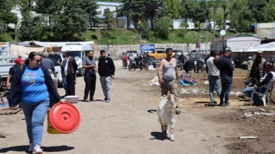 Elazığ canlı hayvan pazarında bayramın son gününde hareketlilik yaşandı. Elazığ’da