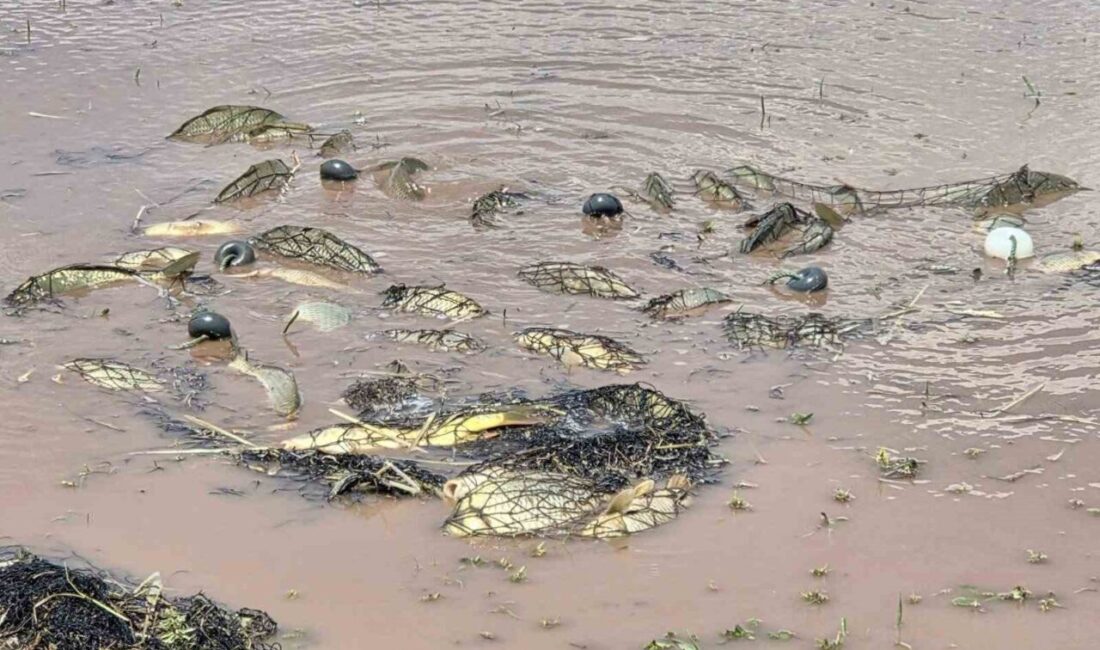 Elazığ’da süren av yasağı kapsamında ekipler tarafından yapılan denetimlerde 3
