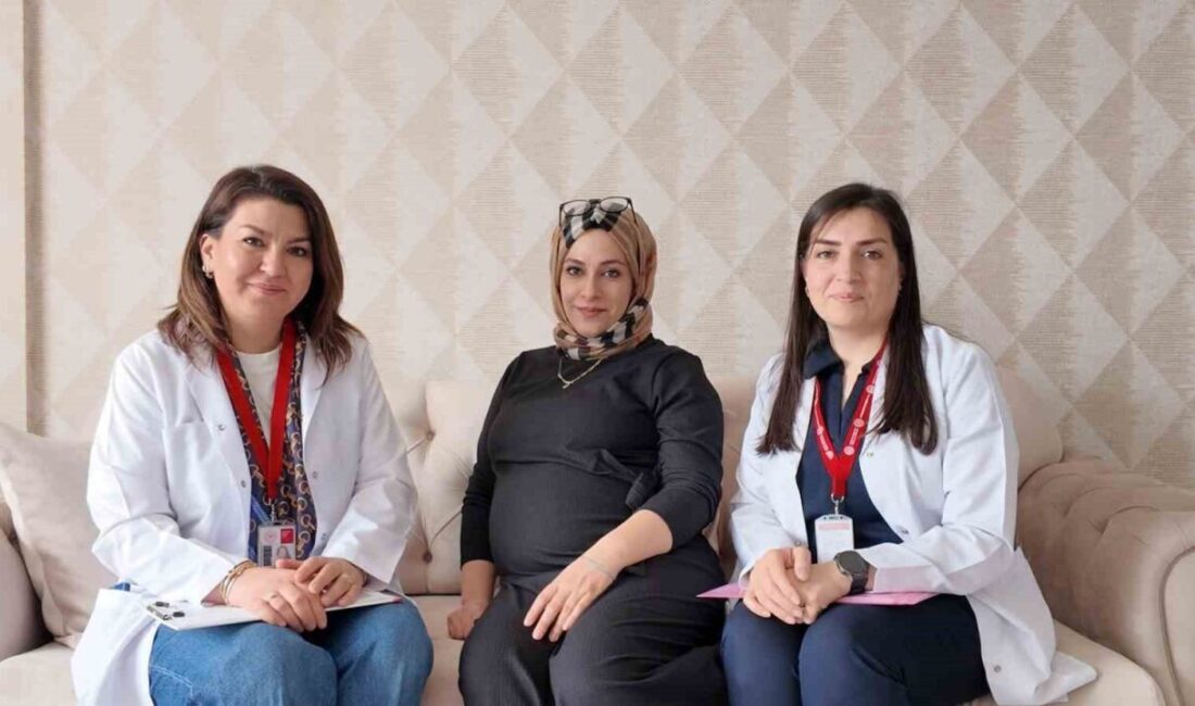 Elazığ’da ’Her Gebeye Bir Ebe’ uygulaması kapsamında gebe kadınlar ebeler