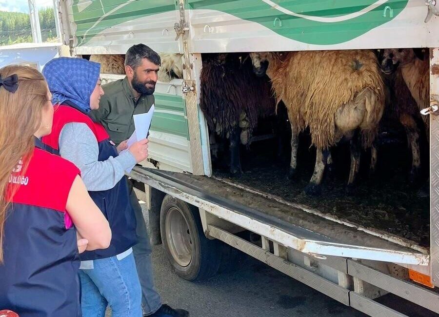 Kurban Bayramı’na sayılı günler kala artan hayvan hareketliliğine karşı ekipler