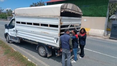 Yaklaşan Kurban Bayramı öncesi, Elazığ’da hayvan sevkiyatı sıkı denetime alındı.