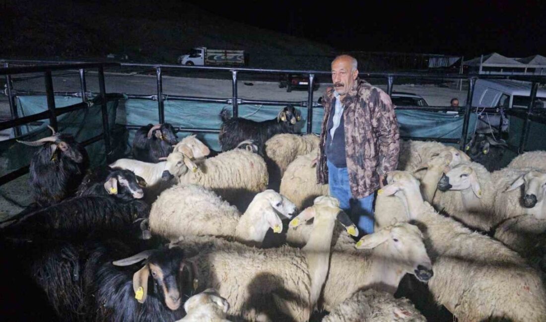 Elazığ’da Kurban Bayramı öncesi kurulan kurban pazarında besicilerin yoğun mesaisi