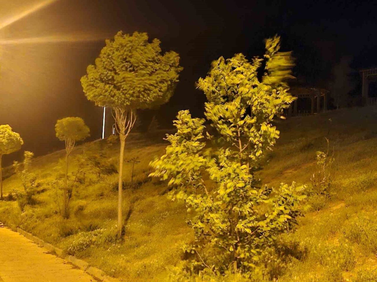 Elazığ’da kuvvetli rüzgar etkili oldu. Elazığ’da kuvvetli rüzgar etkili oldu.